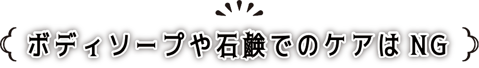 ボディソープ
